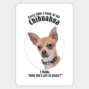 Lucky Chihuahua Magnet